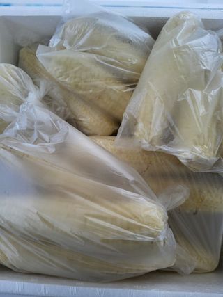 이연화님의 자유주제 · 자유게시판 작성글 사진