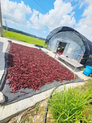 박현민님의 자유주제 · 자유게시판 작성글 사진