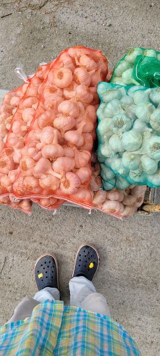 황금이님의 작성글 사진