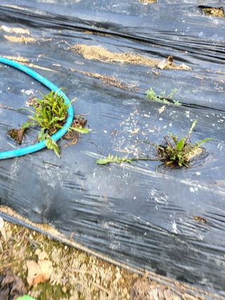 구태본님의 자유주제 · 자유게시판 작성글 사진