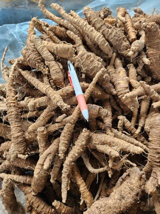 윤미선(농경채인증님의 작성글 사진