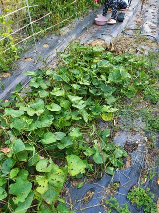 구태본님의 자유주제 · 자유게시판 작성글 사진