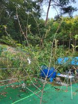 팜모닝 자유주제·자유게시판 게시글 이미지