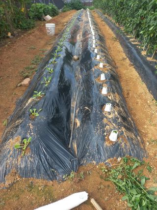 유용진님의 자유주제 · 자유게시판 작성글 사진