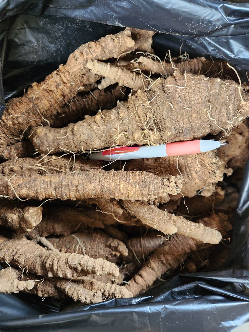 장터 상품 [더덕 4키로 ] 썸네일