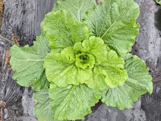 코알라님의 자유주제 · 자유게시판 작성글 사진