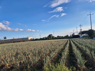 준영농장 출석왕.님의 자유주제 · 자유게시판 작성글 사진