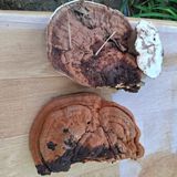 팜모닝 자유주제·자유게시판 게시글 이미지