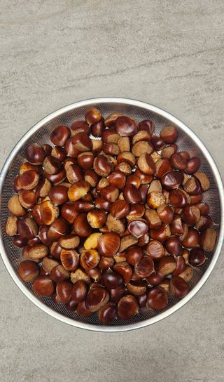 접시꽃님의 자유주제 · 자유게시판 작성글 사진