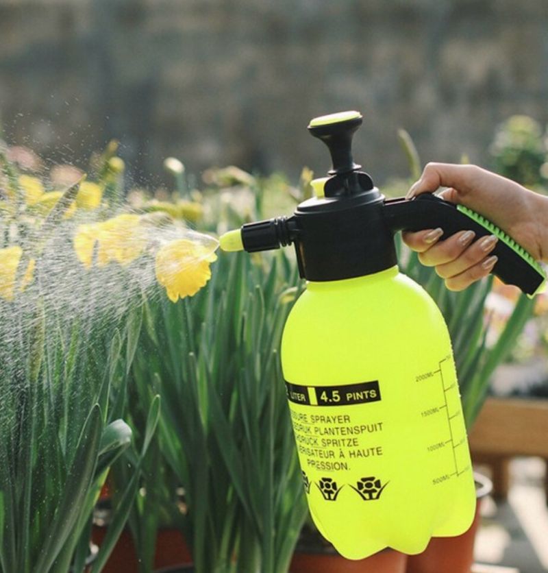 김복자님의 장터 판매 상품 [압축 분무기 분사기 스프레이 고압 휴대용 원예 화초 물조리 물뿌리개 재활용품 2L 옐로우] 첨부 사진