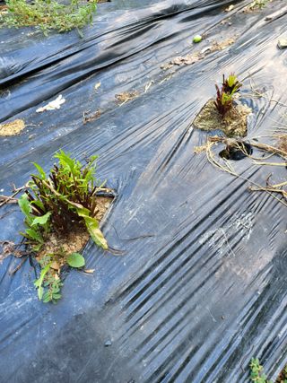 구태본님의 자유주제 · 자유게시판 작성글 사진