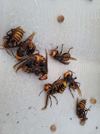 망치님의 자유주제 · 자유게시판 작성글 사진