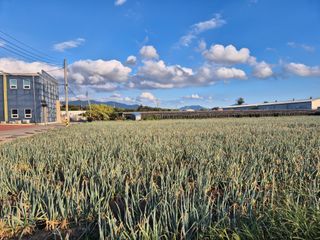 준영농장 출석왕.님의 자유주제 · 자유게시판 작성글 사진