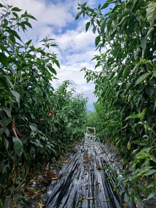 손수재님의 자유주제 · 자유게시판 작성글 사진