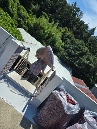 고추농사 정 미라님의 자유주제 · 자유게시판 작성글 사진