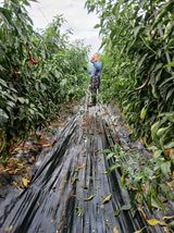 팜모닝 자유주제·자유게시판 게시글 이미지