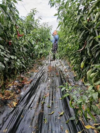 손수재님의 자유주제 · 자유게시판 작성글 사진