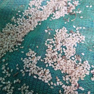 오화순님의 자유주제 · 자유게시판 작성글 사진