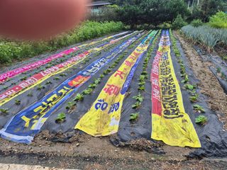 마늘16716님의 자유주제 · 자유게시판 작성글 사진