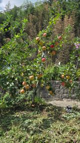 팜모닝 자유주제·자유게시판 게시글 이미지