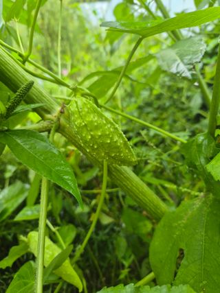 왕자농원님의 자유주제 · 자유게시판 작성글 사진