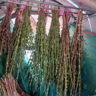 오화순님의 자유주제 · 자유게시판 작성글 사진