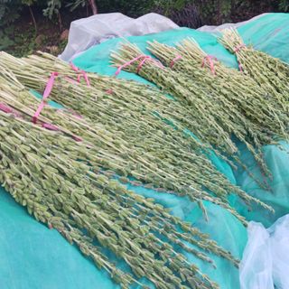 오화순님의 자유주제 · 자유게시판 작성글 사진