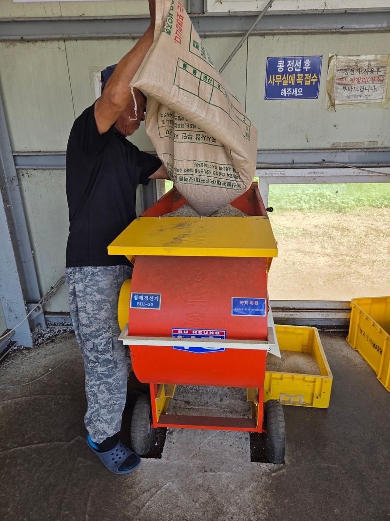 나무와새님의 장터 판매 상품 [참깨] 첨부 사진