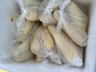 이연화님의 자유주제 · 자유게시판 작성글 사진