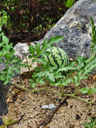조영민님의 자유주제 · 자유게시판 작성글 사진