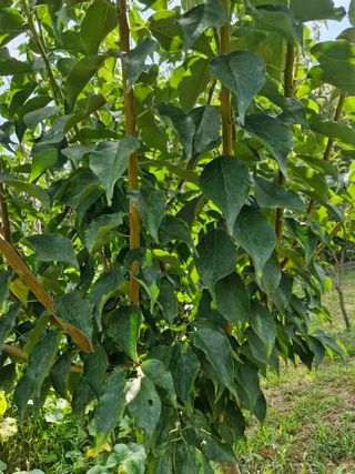 종이박님의 자유주제 · 자유게시판 작성글 사진