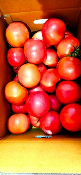 팜모닝 · 게시글 이미지