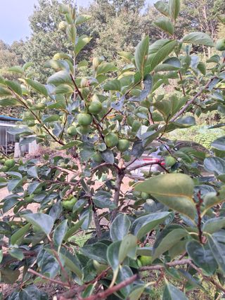 박종열님의 자유주제 · 사진전 작성글 사진