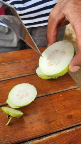 정미리님의 작성글 사진