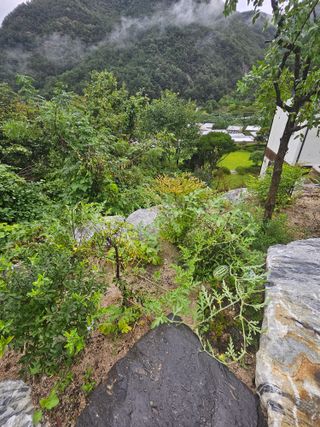 조영민님의 자유주제 · 자유게시판 작성글 사진