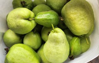 정미리님의 자유주제 · 자유게시판 작성글 사진