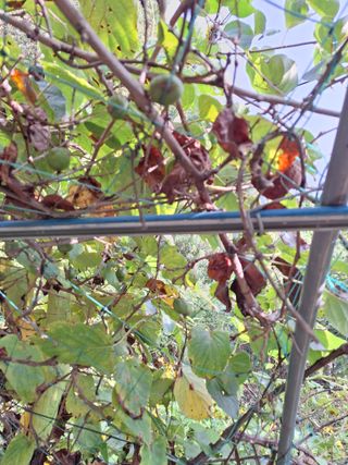 박종열님의 자유주제 · 사진전 작성글 사진