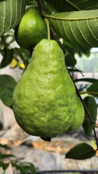 정미리님의 작성글 사진