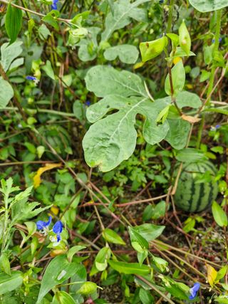 당근한개님의 자유주제 · 자유게시판 작성글 사진