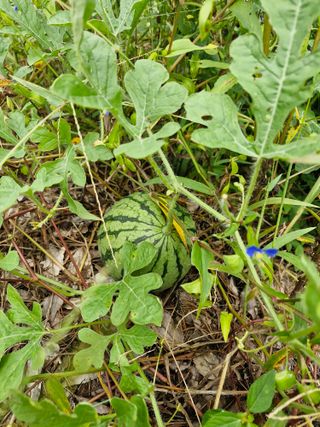 당근한개님의 자유주제 · 자유게시판 작성글 사진