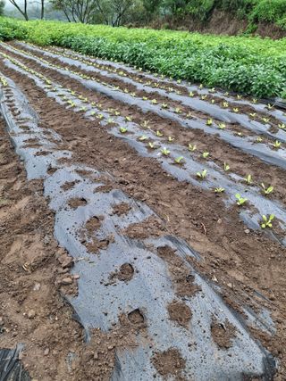 이병찬님의 자유주제 · 자유게시판 작성글 사진