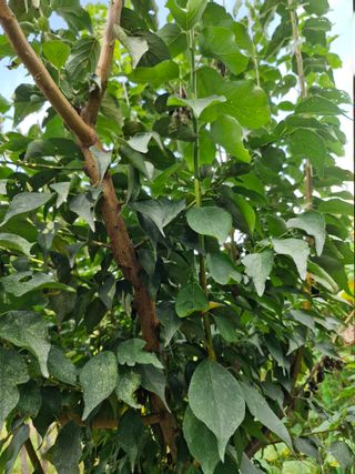 종이박님의 자유주제 · 자유게시판 작성글 사진