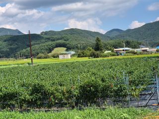 사천시향촌동 돼지띠님의 자유주제 · 자유게시판 작성글 사진