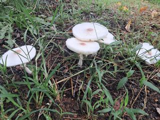 조명희님의 자유주제 · 자유게시판 작성글 사진