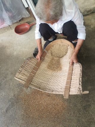 옥천서화농님의 자유주제 · 자유게시판 작성글 사진