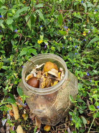 당근한개님의 자유주제 · 자유게시판 작성글 사진