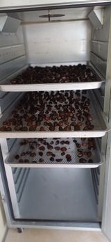 팜모닝 자유주제·자유게시판 게시글 이미지