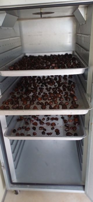 초보퍼머5도2촌준비님의 자유주제 · 자유게시판 작성글 사진