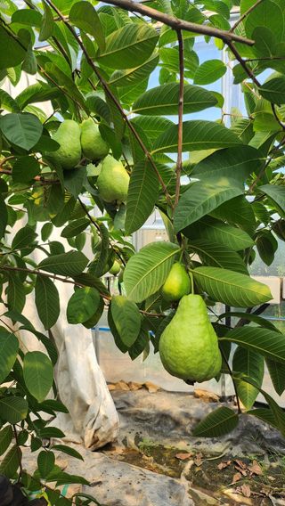 정미리님의 자유주제 · 자유게시판 작성글 사진