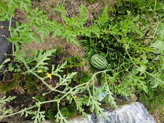 조영민님의 자유주제 · 자유게시판 작성글 사진